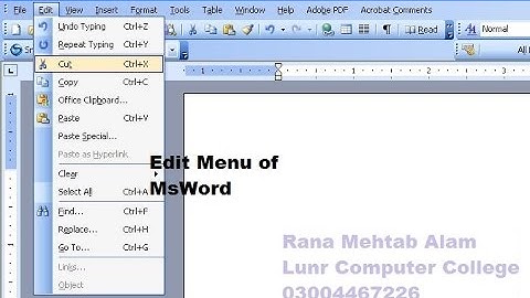 How to Use The Edit Menu In Ms Word / WinWord 2003 in Urdu/Hindi | Lunar Computer College
