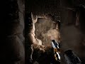 The Colosseum’s Secret Chamber Finding the Emperor’s 10,000 Gold Coins #history   #ancientrome