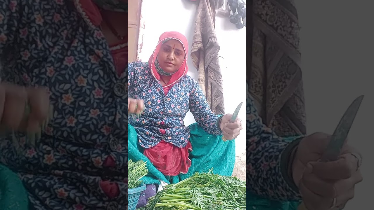 हमारे राजस्थान की पार्लर की सब्जी कैसी है बताइए