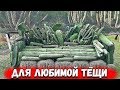 Ржачные приколы с озвучкой. ДЛЯ ЛЮБИМОЙ ТЁЩИ