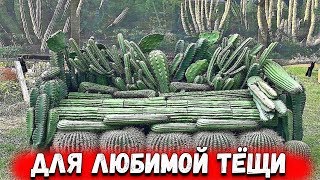 Ржачные приколы с озвучкой. ДЛЯ ЛЮБИМОЙ ТЁЩИ Ржачные приколы с озвучкой. ДЛЯ ЛЮБИМОЙ ТЁЩИ