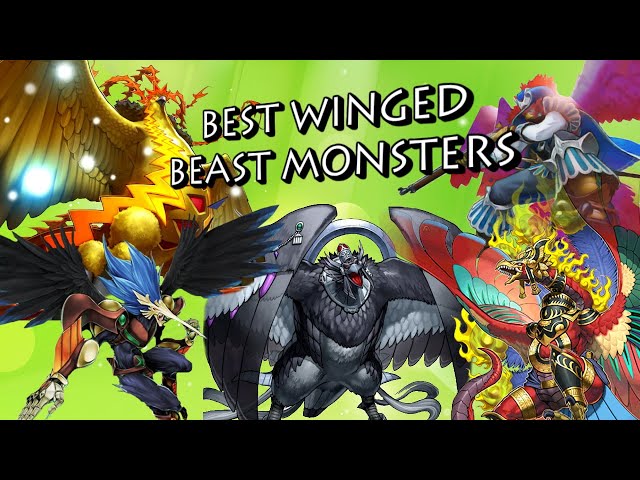 Yu-Gi-Oh - Top 10 Winged Beast Monsters - YouTube Yu-Gi-Oh - Top 10 Winged Beast Monsters - YouTube