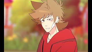 Tordtom-eddsworld, MatteEdd,||u look pretty ✨🌟💫☄️||