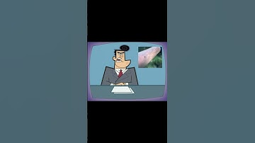 How to Stay Safe from Ticks