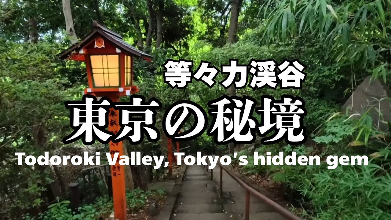 東京の秘境・等々力渓谷　Todoroki Valley: Tokyo's hidden gem