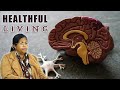 Healthful Living Classes_ Chapter 6 - Melicia Haupt