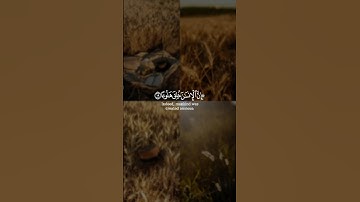 إن الإنسان خلق هلوعا إذا مسه الشر جزوعا و إذا مسه الخير منوعا || سورة المعارج || القارئ: ادريس أبكر