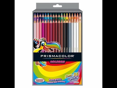 Prismacolor Lápiz de Color Escolar 36 unidades 