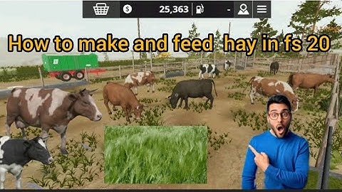 How to make hay in fs 20 || how to feed hay in fs 20. 2023