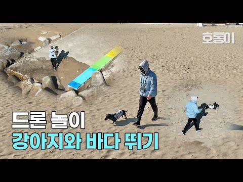 강아지와 바다에서 미니4프로 드론 촬영하며 놀기 / 액티브트랙, 마스터샷
