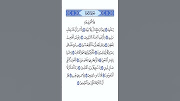 القرآن الكريم سورة الشعراء ياسر الدوسري #القرآن_الكريم #راحة_نفسية #اطمئن