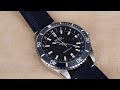 $1,200! Mido OceanStar GMT Blue, True Swiss GMT!