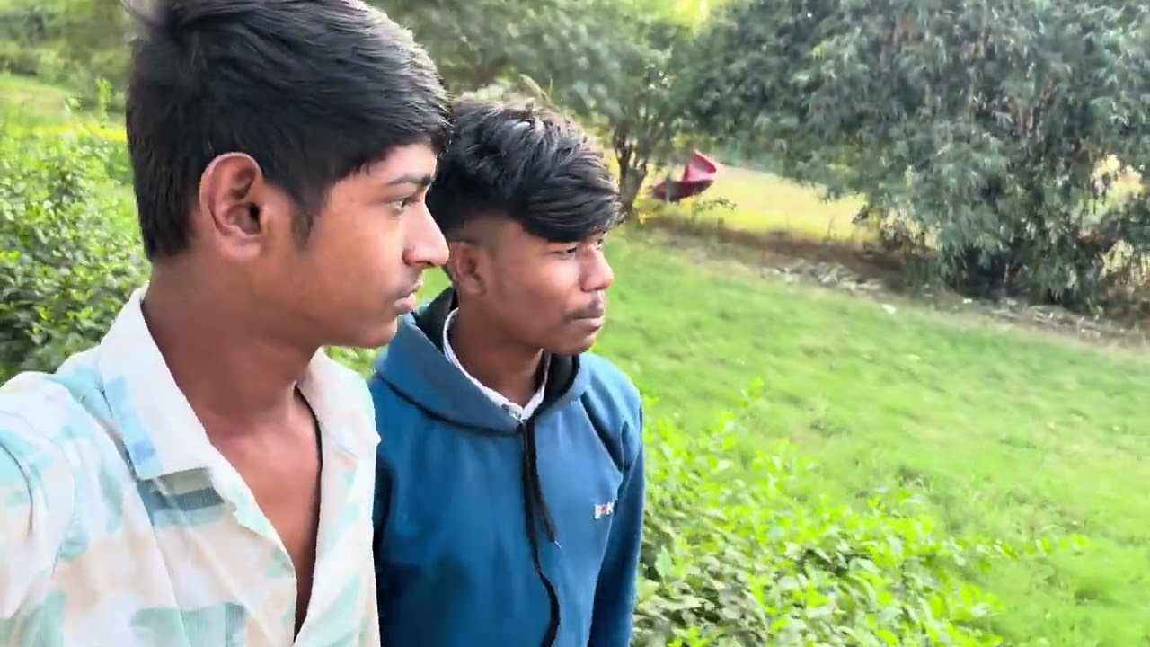 DA VIJAPUR TEAM ( પક્ષીઓની સેવા કરવા ) 