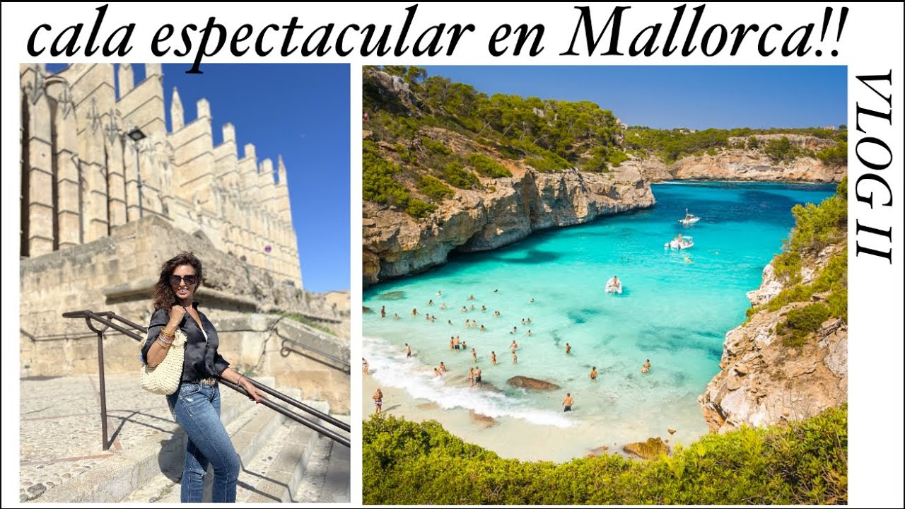 LUIS PIDE UNA HORA SIN CAMARAS😂