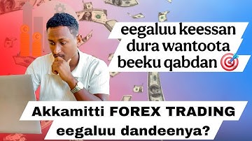 Akkamitti FOREX TRADING eegaluu dandeenya? | Afaan Oromo | Ela Tips | free course part 1