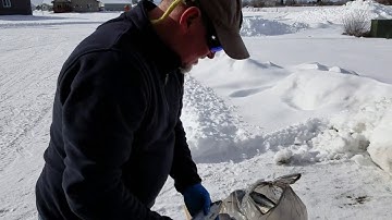 How to fillet a kokanee salmon