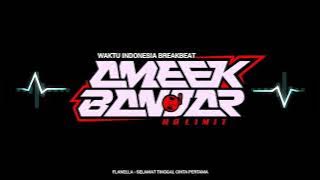 SELAMAT TINGGAL CINTA PERTAMA BREAKBEAT REMIX 2025 [ AMEEK BANJAR x DJ SANTA ] FLANELLA BAND