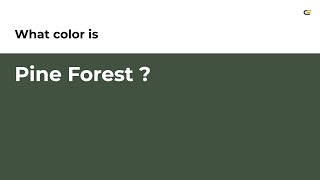 Pine Forest color #415241 hex color - Green color - Warm color 415241