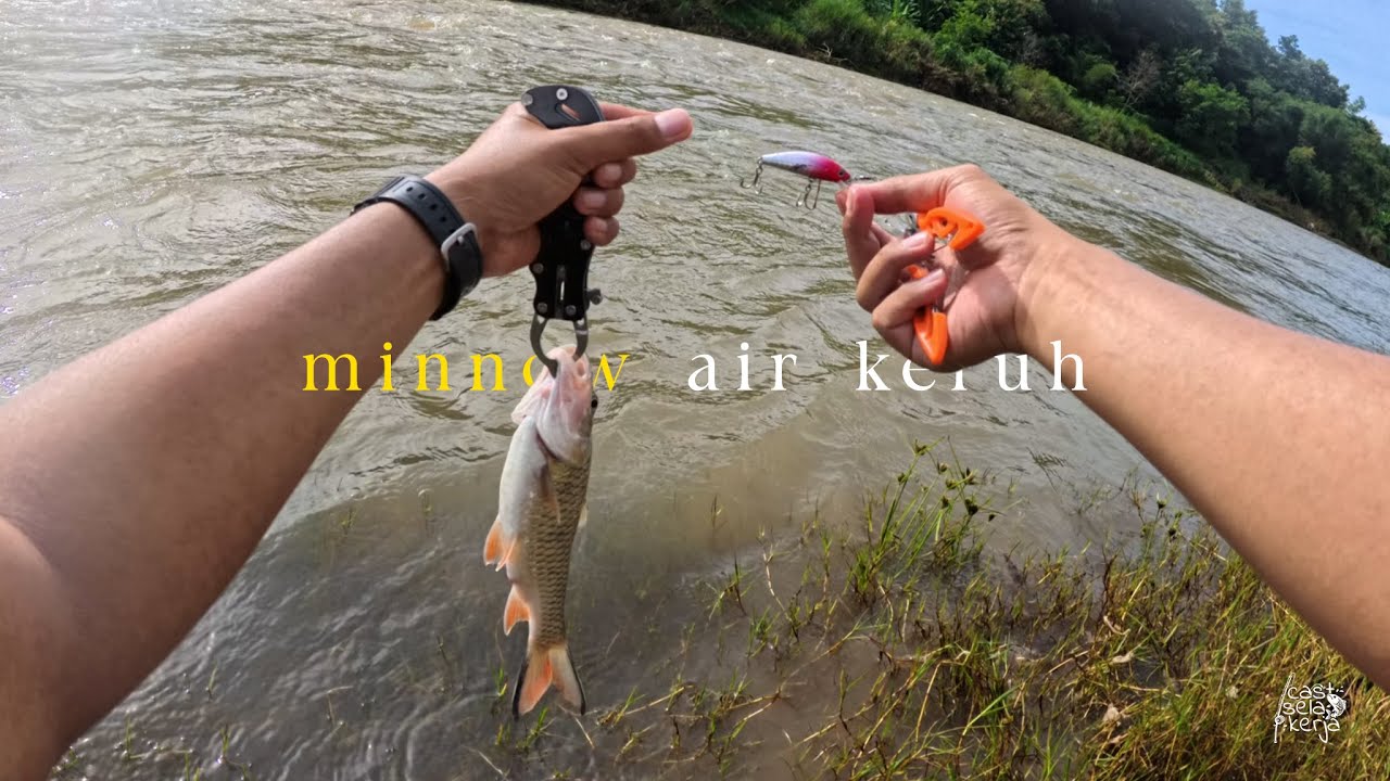 Pakai umpan ini kalau air sungai Keruh - 😎 auto Strike !!!  Potrobayan sebelum Banjir besar 🥲
