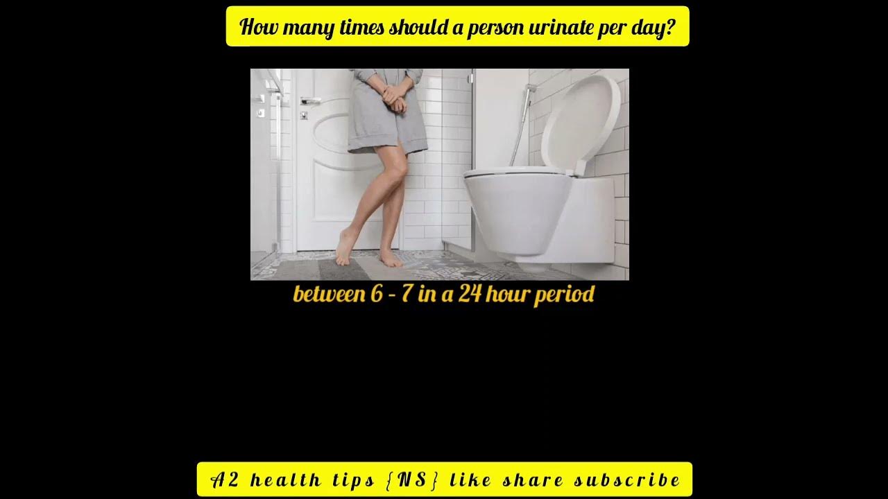 How many times should a person urinate per day youtube