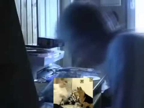 ニコカラ キーボードクラッシャーでぽっぴっぽー