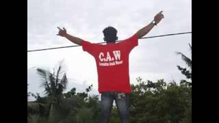 {C.A.W™}~dj alan walker~™