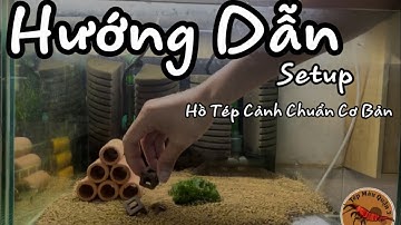 Hướng Dẫn Setup Hồ Tép Cảnh Chuẩn Công Thức - Đơn Giản - Hiệu Quả Cho Người Mới Bắt Đầu