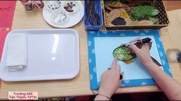 Tạo hình: Làm các con vật từ lá cây