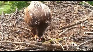 Decorah Eagles North Breakfast brought in by DNF 08 12 2021