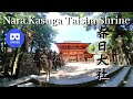 奈良 春日大社 参道 Kasuga taisha shrine in Nara