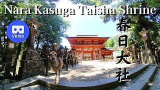 奈良 春日大社 参道 Kasuga taisha shrine in Nara