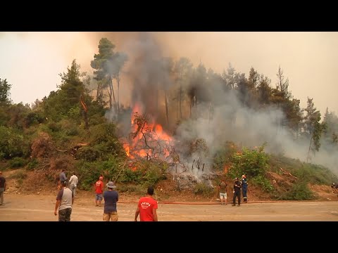 ევროპის ქვეყნებში ტყის ხანძრები ამ დრომდე მძვინვარებს