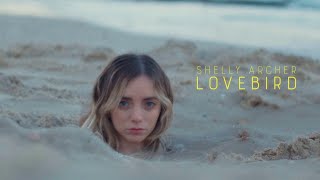 Download Lagu Lovebird