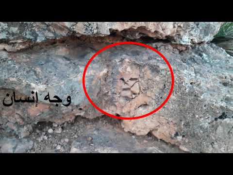 فيديو: منحوتات الخردة المعدنية لجو بوجان
