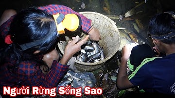 Người Rừng Sống Ra Sao ? Và Cách Bắt Cá Suối Bằng Cách Nào | Forest People Catching Fish