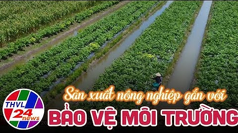 Sản xuất nông nghiệp gắn với bảo vệ môi trường