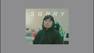 Napking - Sorry (Speed Up)