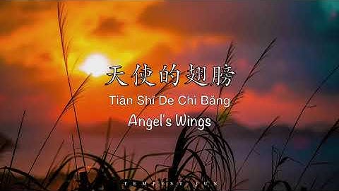 天使的翅膀 Angel