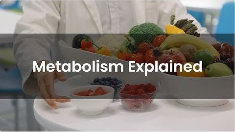 Metabolism Explained: How Your Body Burns Calories (and How to Boost It!) 🔥