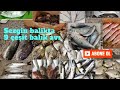 En ilginç balık avı #fishing #balita #funny #crazy #shortvideo #shorts #short