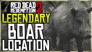 WHERE TO FIND THE LEGENDARY BOAR LOCATION + HUNT - RED DEAD REDEMPTION 2