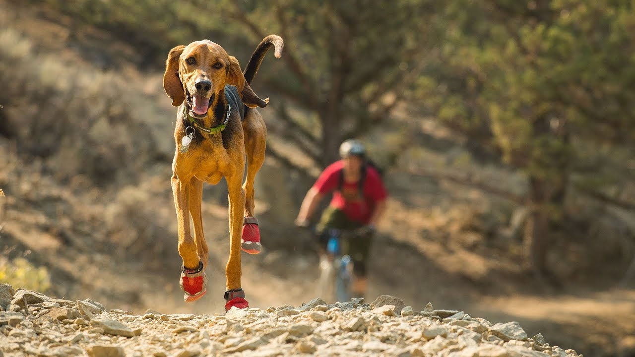 Ruff Wear Grip Trex Dog Boots