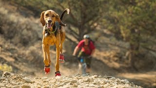 Ruffwear Grip Trex™ Dog Boots