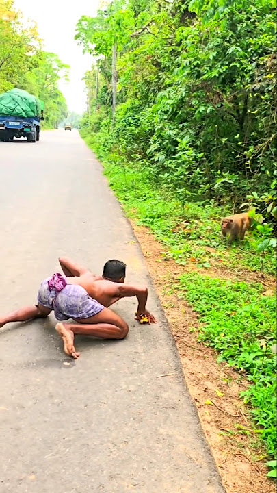 monkey Man #shorts #monkey