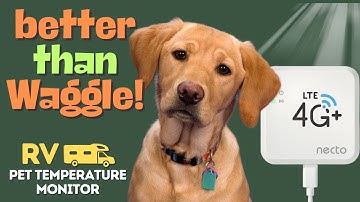Better than Waggle? Necto RV Pet Temperature Monitor Review.