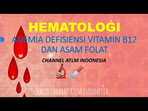 11. Anemia Defisiensi Vitamin B12 dan Asam Folat Edukasi bagi ATLM