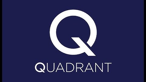 Presenting the Quadrant Elon Demo