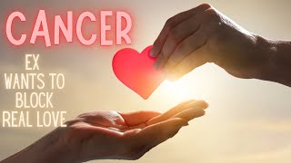 картинка: Рак ♋️ Ложь, ложь и ещё больше лжи ⚔️ Держите их в черном списке! Грядёт новая любовь