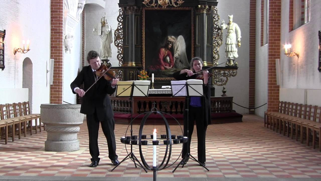 モーツァルト 二台のヴァイオリンの為の二重奏曲op 70 向山弦楽器塾