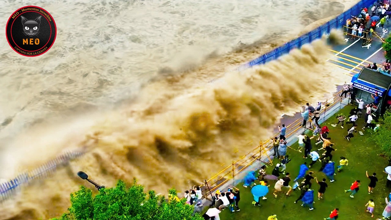 Momentos increíbles captados por la cámara | Lo mejor del mes #13